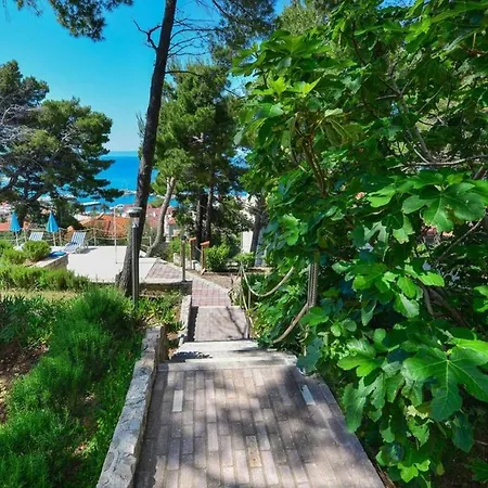Morena Gostinjska kuća Baska Voda